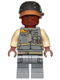 sw806